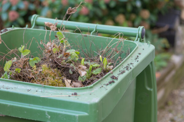 Council announces move to increase green garden waste service collections