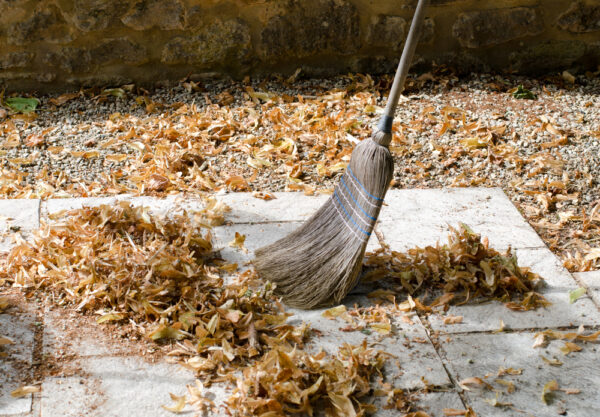 Community spirit rife as students clear up valence house grounds